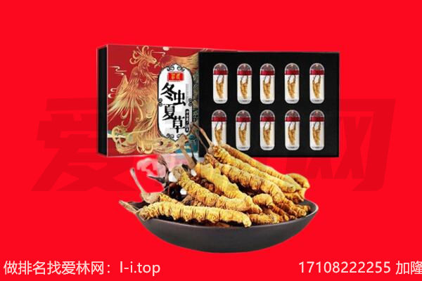杭锦后旗回收虫草.jpg